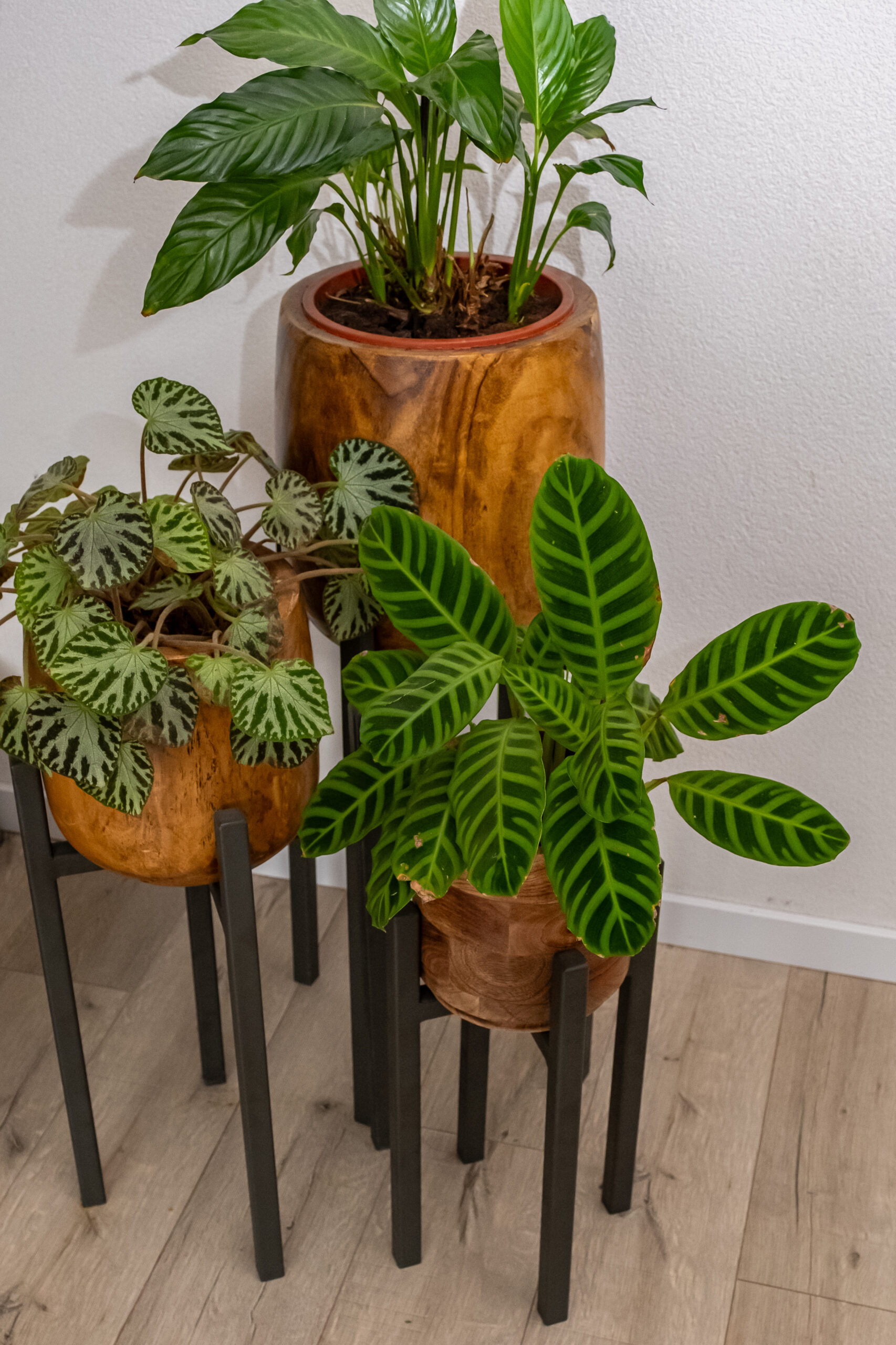 04_Groningen_Hellinde_005